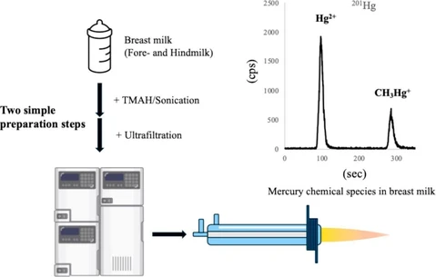 High-throughput mercury speciation analysis of breast milk using HPLC-ICP-MS