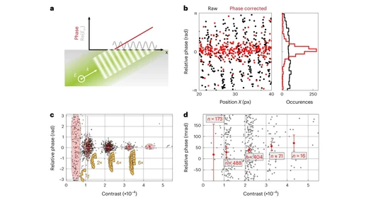 Single-protein optical holography