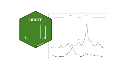 An R Package for NMR Data Processing