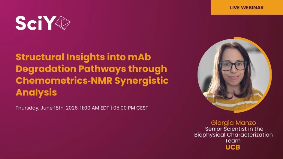 SciY: Structural Insights into mAb Degradation Pathways through Chemometrics‑NMR Synergistic Analysis
