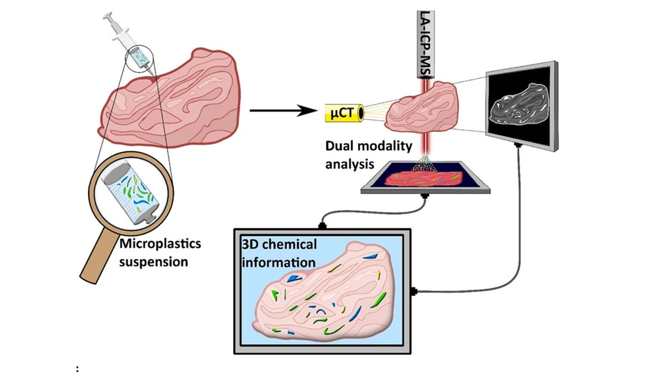 <p>Talanta 308, 2026, 129794: Graphical abstract</p>