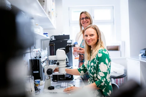 Kamikaze termites protect their colony with the help of a special enzyme. Its secrets have been uncovered by scientists from IOCB Prague