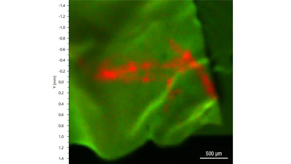 Thermo Scientific Nexsa G2 XPS System