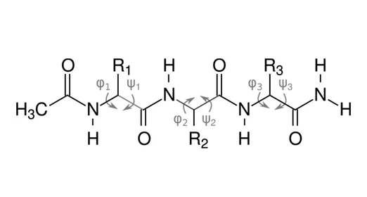 What are the minimal folding seeds in proteins?