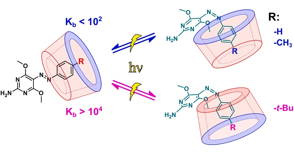 <ul>
<li><strong>Photo:</strong> IOCB Prague: Azopyrimidine photoswitches and their interactions with cyclodextrins.</li>
</ul>
