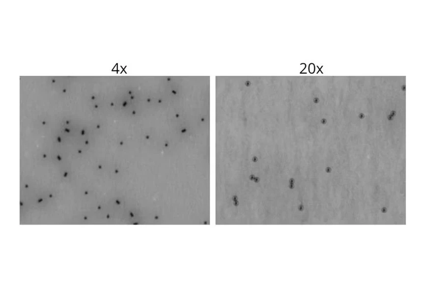 Waters: Aura+ System - Quickly differentiate and enumerate cells versus Dynabeads™, quantify polysorbate degradation, and more.