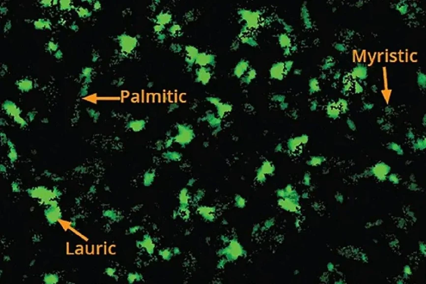 Waters: The Aura PTx System is the first to use thioflavin T (ThT) and BODIPY FL C16 staining to detect and quantify protein aggregates and polysorbate breakdown.