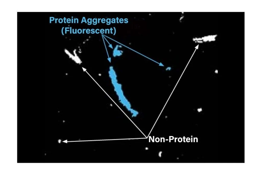 Waters: The Aura PTx System tells you exactly what is protein (via ThT staining) and what is not, even in mixed particles.