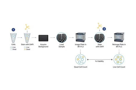 Waters Aura CL System for particle characterization